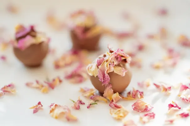 Andromeda Kasino Apl Android/iOS